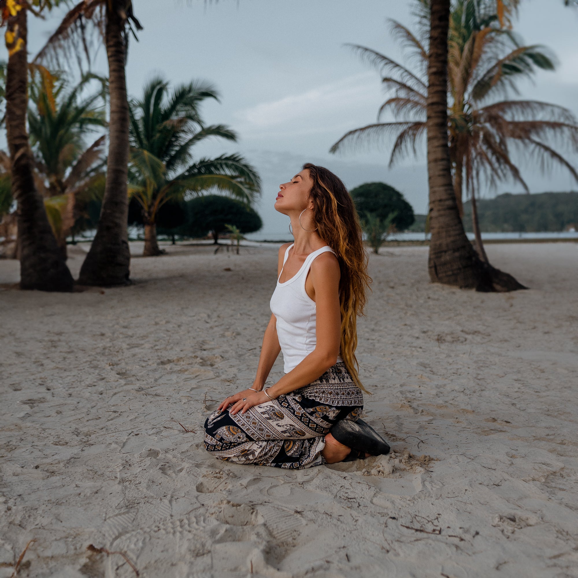 High Crotch Harem Pants - Elephant Print - Black