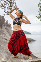 Harem Pants - Striped - Red/Black